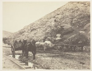 バラクラを去る牛と馬車 作： Roger Fenton