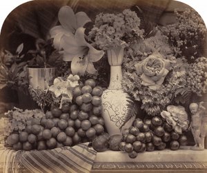 果物と花 作： Roger Fenton