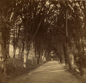 ダーク・ウォーク；ストーニーハースト 作： Roger Fenton