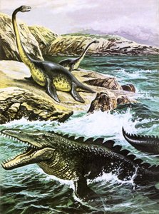 プレシオサウルス（上）とティロサウルス（下）
