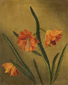 花の研究（帆布に油彩）