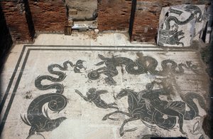 古代のオスティア（Ostia）。Place des Corporations（企業広場）。サブラタの船員公社のモザイク。ネプチューンの浴場。 作： Roman