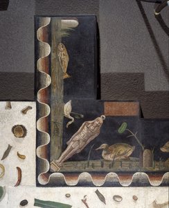 「アサロトス（床） ローマのハラクライトンのサイン入りモザイクの断片 紀元後2世紀、ローマ 作： Roman