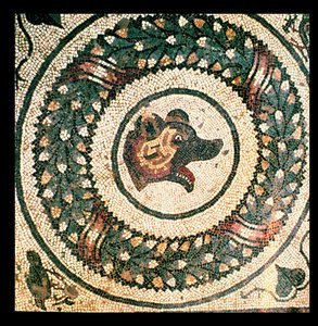 クマの頭、ローマ時代のモザイク、4世紀初頭（モザイク）