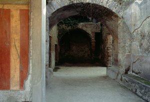 神秘のヴィラを垣間見る、ポンペイ（ユネスコ世界遺産登録 作： Roman