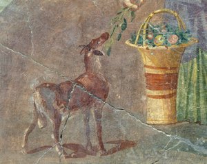 山羊と果物の籠 イタリア・カンパニア州ポンペイのフレスコ画 ローマ文明時代 作： Roman