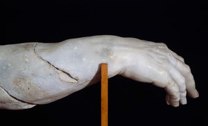 ポリュペムスの右手、ポリュペムス群の断片、あるいはユリシーズがポリュペムスを目隠ししている、アゲサンダー、アテノドルス、ポリュドロスによる大理石彫刻、ヘレニズム時代の原型のコピー、ローマ文明 作： Roman