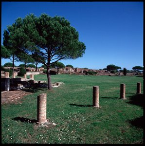 ローマ時代の美術：カンポ・デラ・マグナ・マターの遺跡の様子、第4地域 作： Roman