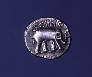 スキッピオン家の祭祀動物である象を象った銀貨。紀元前251年、ルシウス・カエシリウス・メテルスがカルタゴの象を接収した。紀元前47-46年 作： Roman