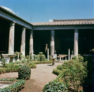 アトリウム、ヴェッティの家 作： Roman
