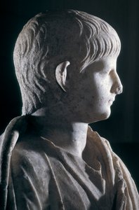 若き日のネロのトーゲート像、頭部の側面図、紀元後50年頃（大理石）（140378のディテール 作： Roman