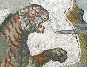 不明な画像