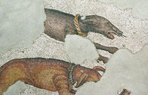 不明な画像 作： Roman