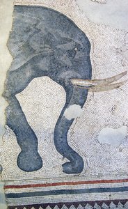 不明な画像 作： Roman