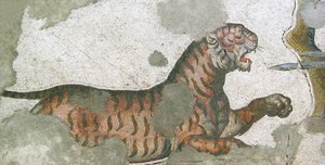 不明な画像