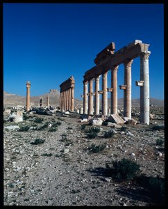パルミラ遺跡の眺め（写真 作： Roman