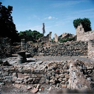 台無しにされた家の眺め 作： Roman