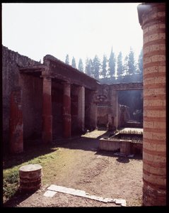 紀元前5世紀～紀元後1世紀の宝石の家（Casa della gemma 作： Roman Roman