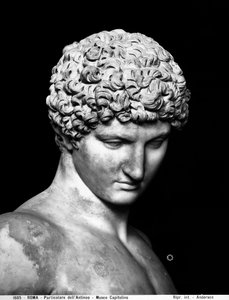 アンティヌス（大理石）のディテール 作： Roman Roman