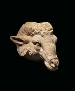 ラムの頭、紀元前1世紀頃-1世紀西暦（大理石）