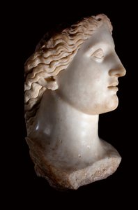女神ジュノンの頭部-白大理石彫刻、ローマ時代、バナサ（モロッコ）-ラバト考古学博物館、モロッコ