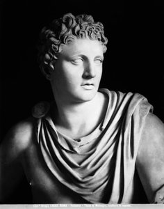 Meleagris（詳細）、スコパスのオリジナルのローマのコピー 作： Roman Roman