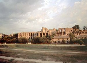 チルコ・マッシモからパラティーノを望む（写真）（99013も参照 作： Roman Roman