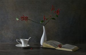 居心地の良い読書風景 作： 