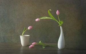 優雅なピンクのチューリップの静物画 作： Rong Wei