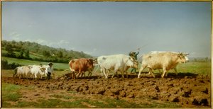 Le plowing nivernais, le sombrage 絵：Marie Rosalie Bonheur dit Rosa Bonheur (1822-1899) 1849 Sun.1,3x2,6 m パリ、オルセー美術館 作： Rosa Bonheur