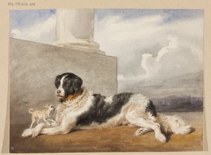  作： Rosa Bonheur