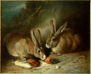 うさぎたち。ローザ・ボヌール（1822-1899）の絵