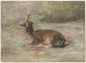 反り返った雄鹿 19世紀後半 黒鉛に水彩・ガッシュ 作： Rosa Bonheur
