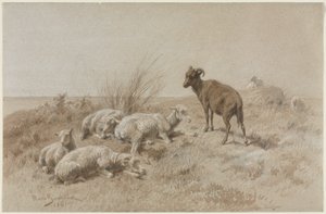 羊 作： Rosa Bonheur
