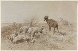 羊 作： Rosa Bonheur