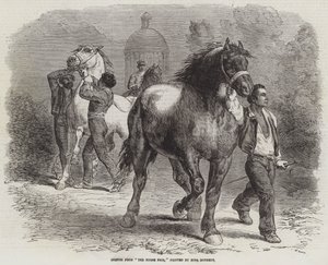 馬フェアからのスケッチ 作： Rosa Bonheur