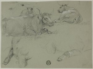 牛のスケッチ 作： Rosa Bonheur