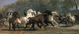 馬市場の研究、1852-54