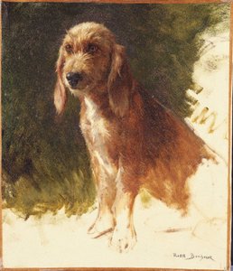 作： Rosa Bonheur