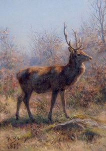 ザ・スタッグ 作： Rosa Bonheur