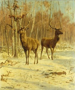 冬のクリアで2つのクワガタ 作： Rosa Bonheur