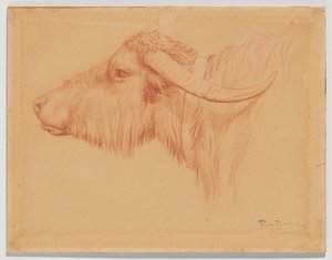 作： Rosa Bonheur