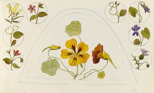 ナスタチウムとその他の花を使ったデザイン