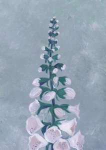 白いキツネノテブクロの花 作： 