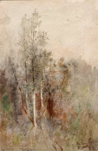 木の研究、1879年。 作： Ross Turner