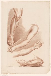 3 つの腕と 1 つの足 自然からの描画の原則、パート 7 (シリーズ タイトル) VIIe Cahier de Principes du Dessin d