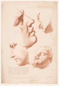 男、女、子供の頭 自然からの描画の原則、パート 2 (シリーズ タイトル) IIe Cahier de Principes du Dessin d