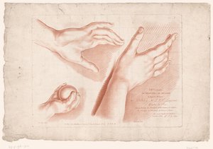 3本針のタイトルプリント 自然からの描画の原則、パート 8 (シリーズ タイトル) VIIIe Cahier de Principes du Dessin d
