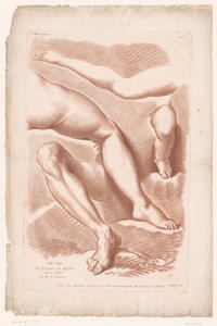 4本の足が異なる位置にあるタイトルプリント 自然からの描画の原則、パート 8 (シリーズ タイトル) VIIIe Cahier de Principes du Dessin d