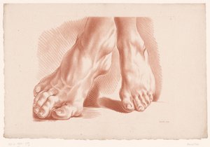 2フィート 自然からの描画の原則、パート 5 (シリーズ タイトル) Ve Cahier de Principes du Dessin d